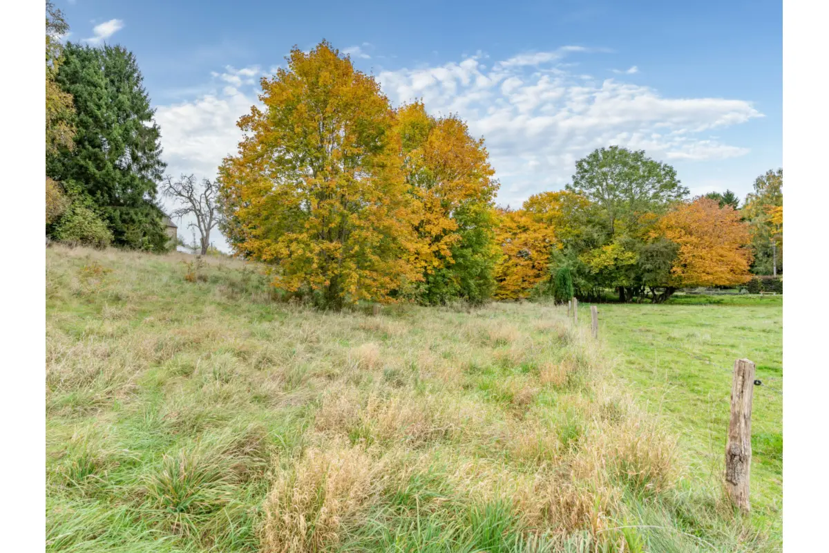 Terrain à bâtir à vendre à Maissin 6852 85000.00€  chambres m² - annonce 642567