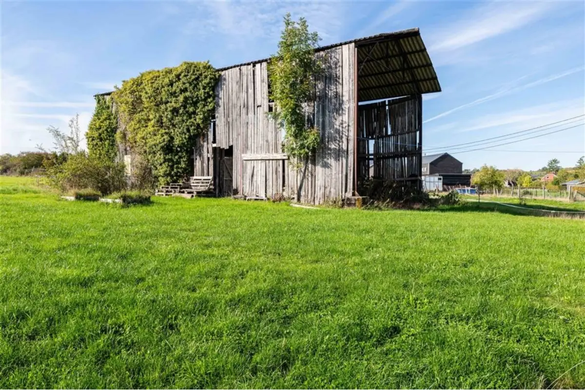 Terrain à vendre à Wellin 6920 169000.00€  chambres m² - annonce 644023