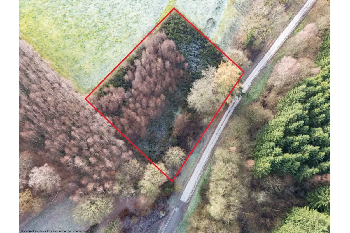 Terrain à vendre à Herbeumont 6887 75000.00€  chambres m² - annonce 645720