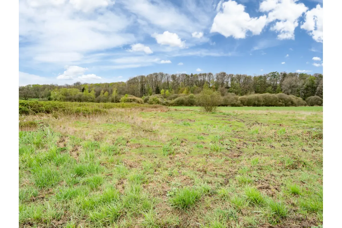 Terrain à vendre à Hotton 6990 63000.00€  chambres m² - annonce 646689