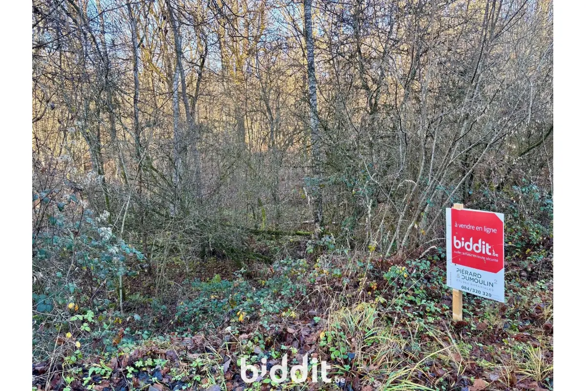 Terrain à vendre à Barvaux-sur-Ourthe 6940 100000.00€  chambres m² - annonce 648122