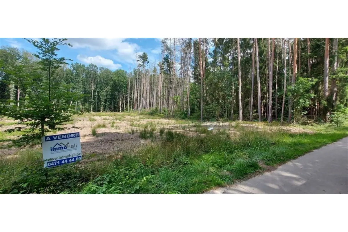 Terrain à vendre à Erezée 6997 95000.00€  chambres m² - annonce 652353