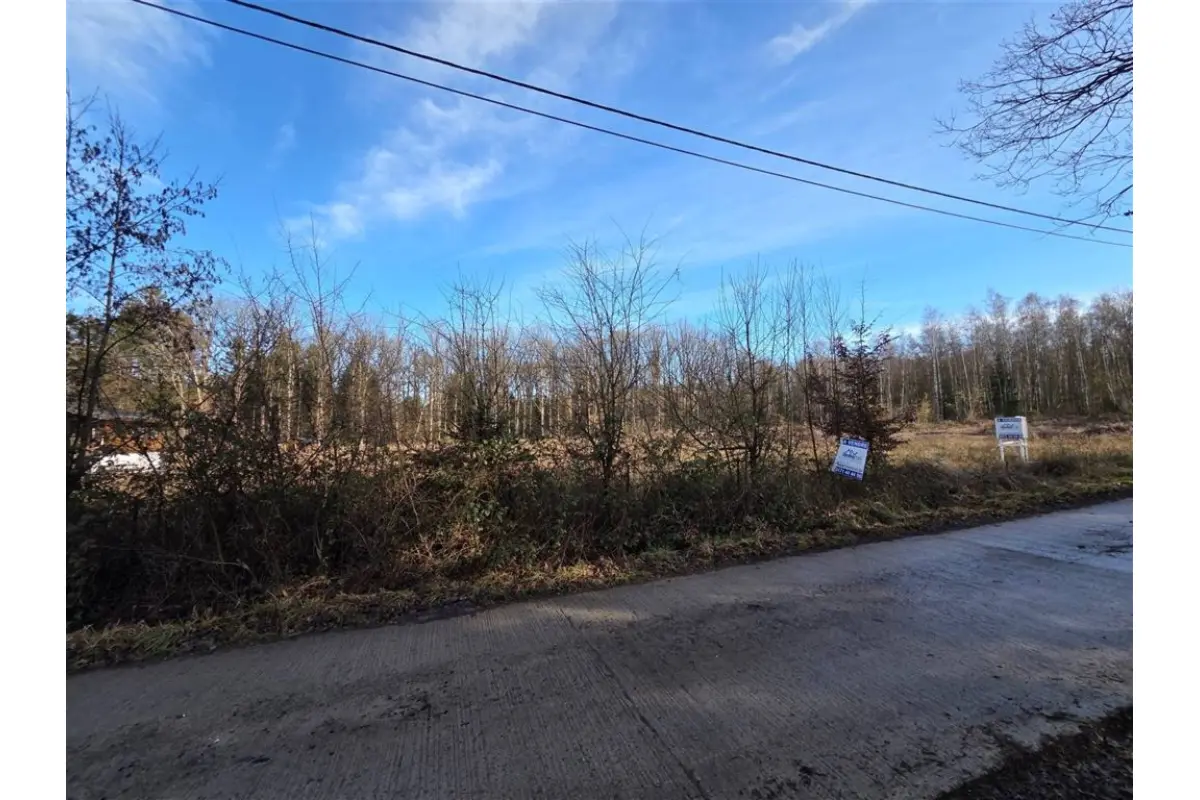 Terrain à vendre à Erezée 6997 89000.00€  chambres m² - annonce 652353