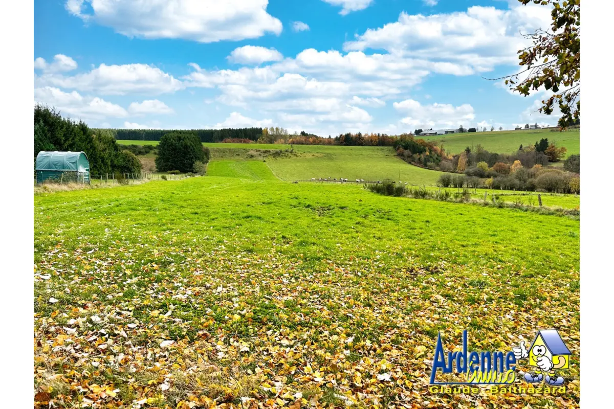 Terrain à vendre à Nadrin 6660 25000.00€  chambres m² - annonce 654649