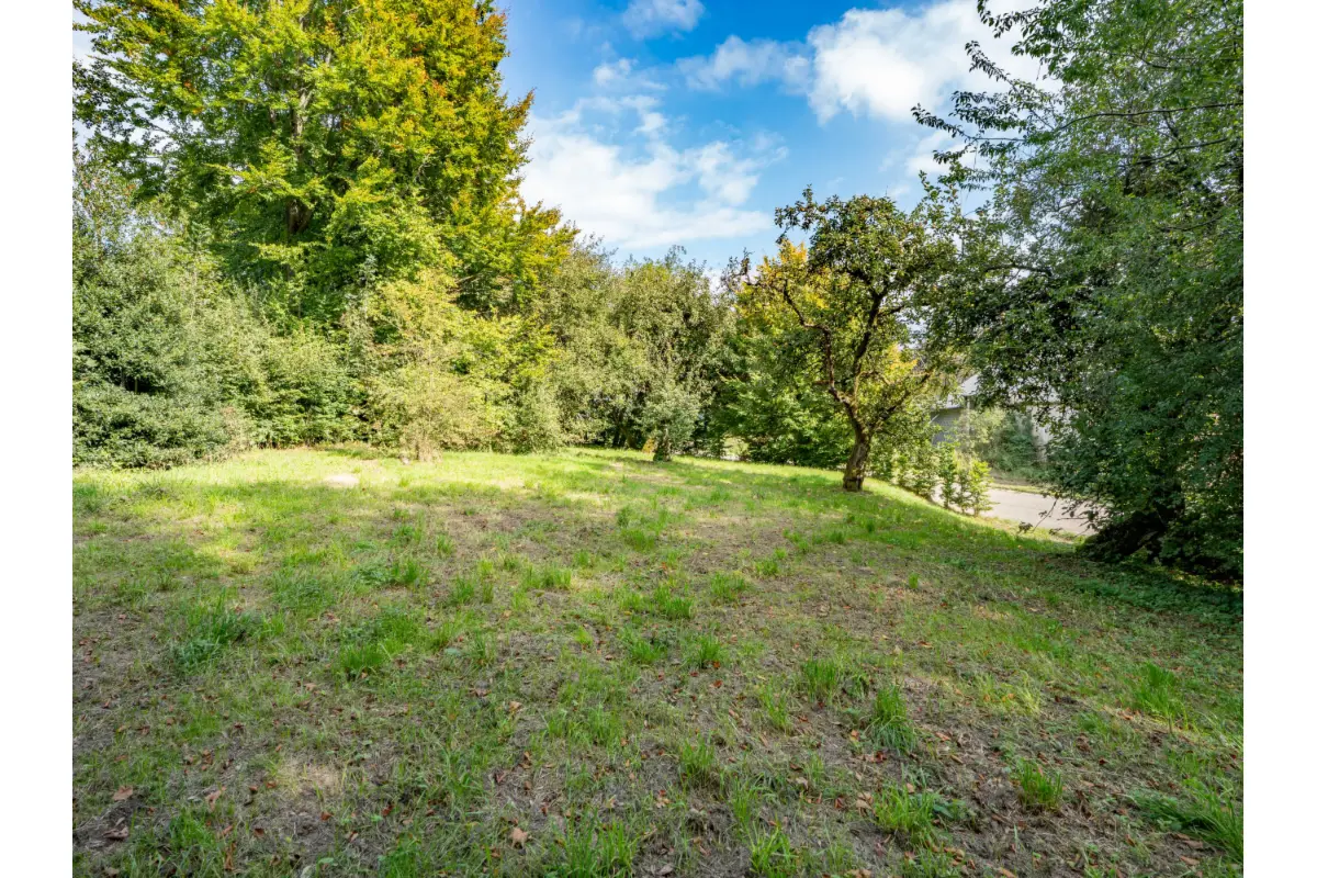 Terrain à vendre à Hompré 6640 95000.00€  chambres m² - annonce 659735