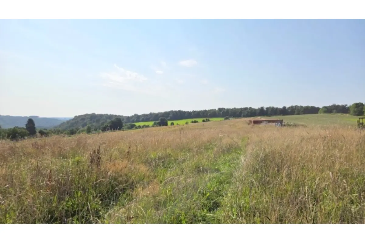 Terrain à vendre à Les Hayons 6830 190000.00€  chambres m² - annonce 661662