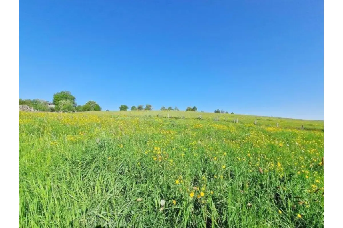 Terrain à vendre à Les Hayons 6830 190000.00€  chambres m² - annonce 661538