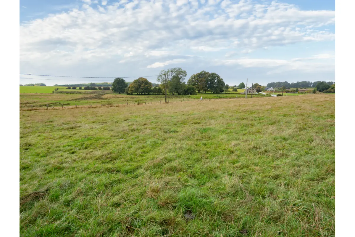 Terrain à vendre à Offagne 6850 65000.00€  chambres m² - annonce 663308