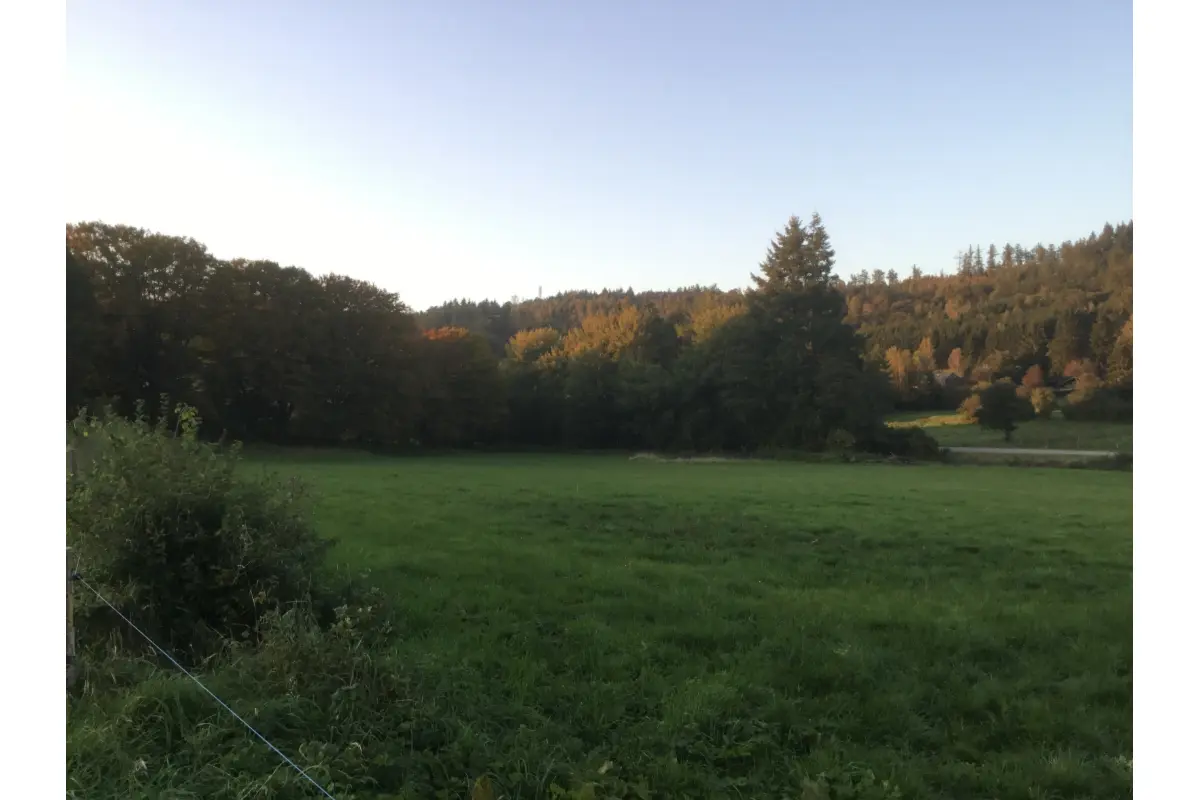 Terrain à bâtir à vendre à Dohan 6836 248400.00€  chambres m² - annonce 663065