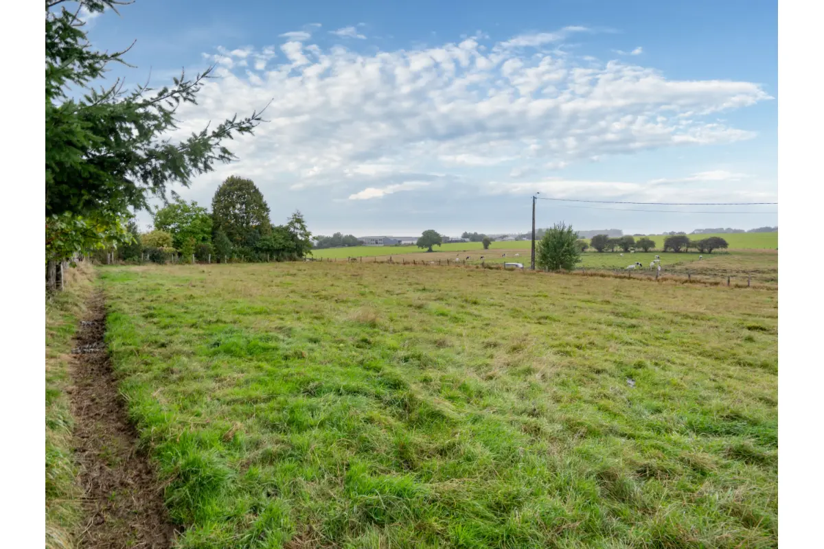 Terrain à bâtir à vendre à Paliseul 6850 65000.00€  chambres m² - annonce 666404