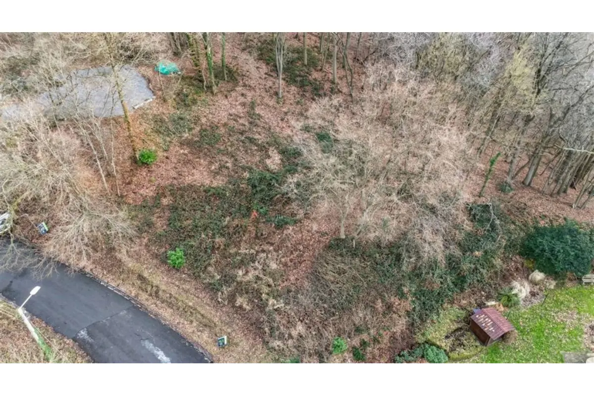 Terrain à vendre à Nassogne 6950 89000.00€  chambres m² - annonce 665746