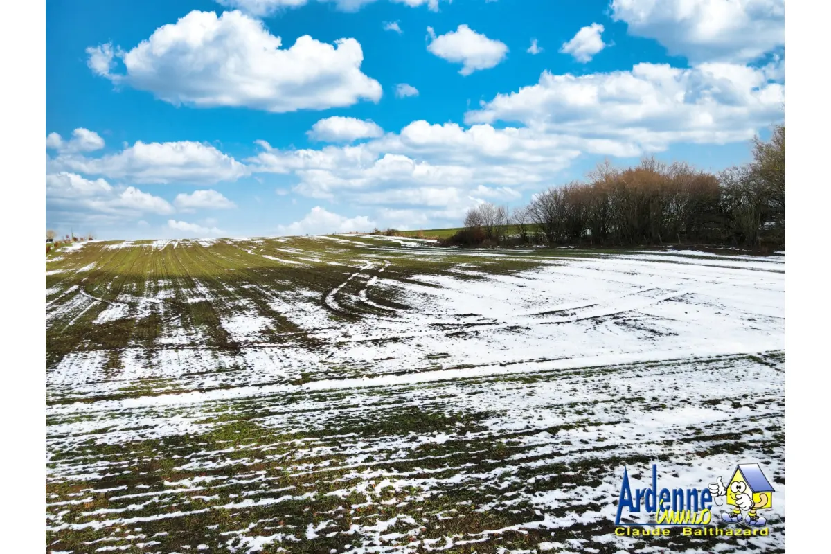 Terrain à vendre à Nadrin 6660 105000.00€  chambres m² - annonce 667545