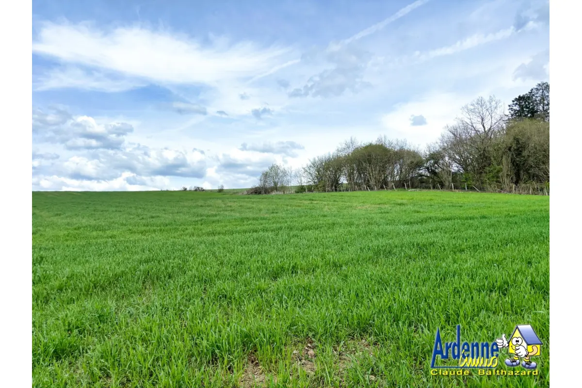 Terrain à vendre à Nadrin 6660 105000.00€  chambres m² - annonce 667545