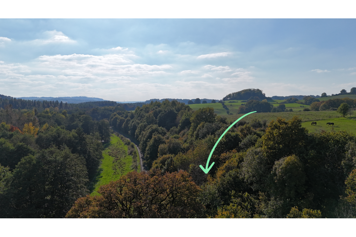 Terrain à vendre à Florenville 6820 85000.00€  chambres m² - annonce 673139