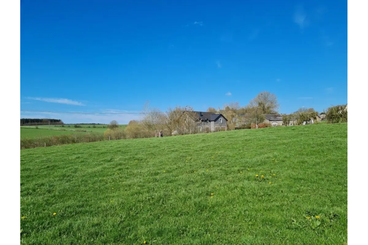 Terrain à vendre à La Roche-en-Ardenne 6980 110000.00€  chambres m² - annonce 673816