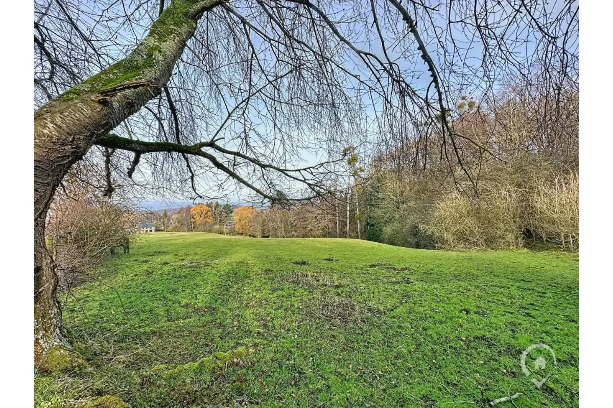 Terrain à vendre à Hotton 6990 38500.00€  chambres m² - annonce 676336