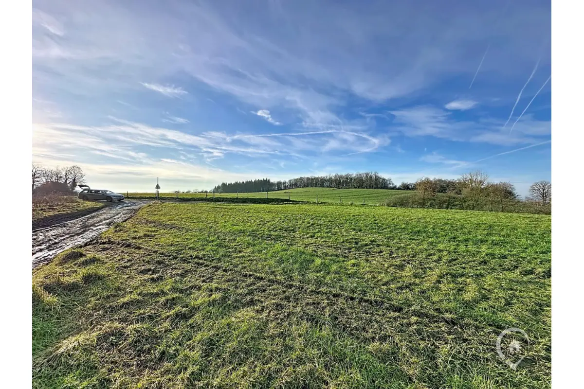 Terrain à vendre à Hotton 6990 7520.00€  chambres m² - annonce 676318