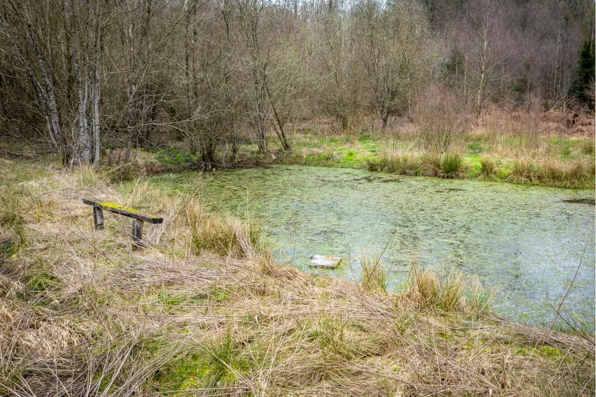 Terrain à vendre à Carlsbourg 6850 89000.00€  chambres m² - annonce 678170