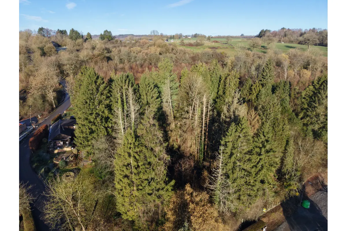 Terrain à  à Durbuy 6940 29000.00€  chambres m² - annonce 679033