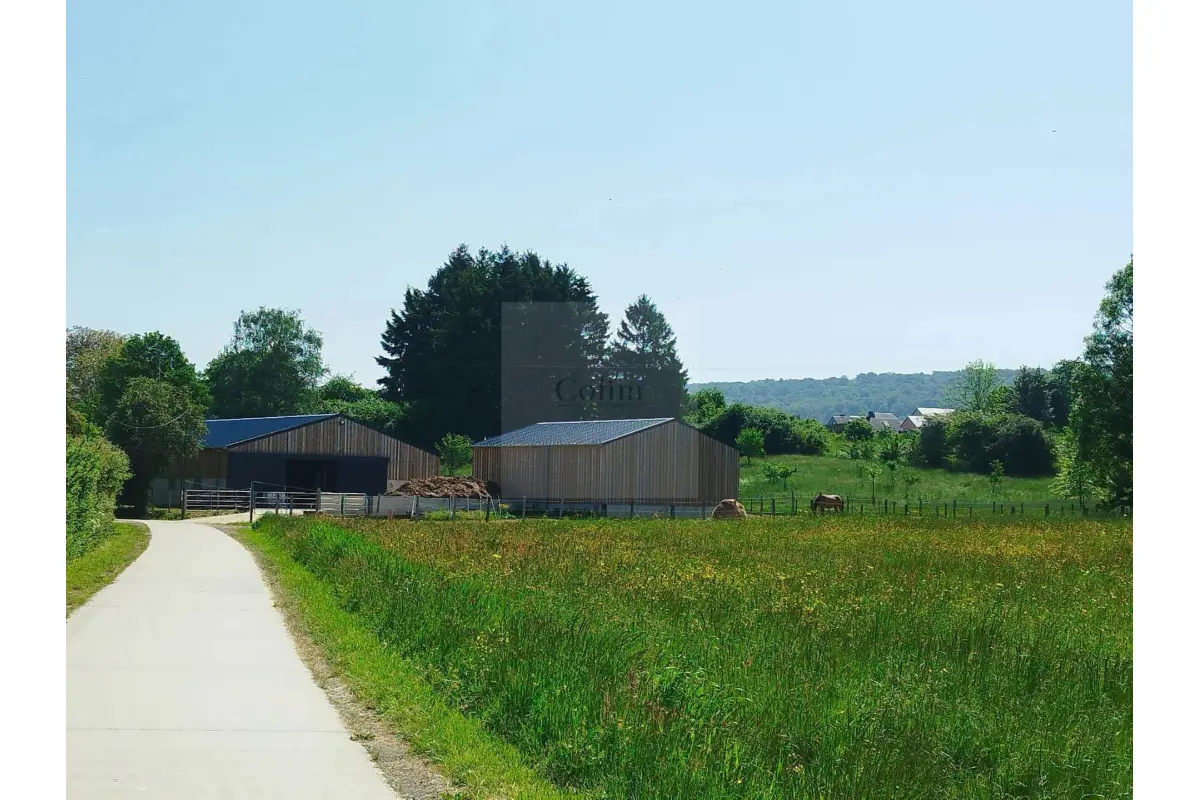 Maison à vendre à Musson 6750 390000.00€ 1 chambres 1.00m² - annonce 679916