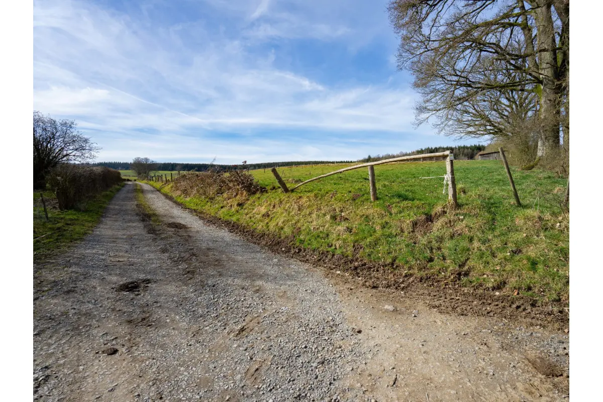 Terrain à  à La Roche-en-Ardenne 6980 79000.00€  chambres m² - annonce 684766