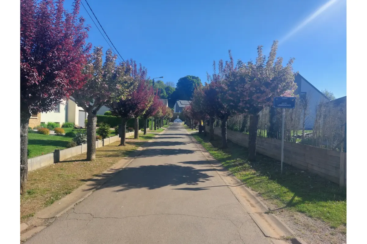 Maison à vendre à Halanzy 6792 460000.00€ 4 chambres 158.00m² - annonce 686921