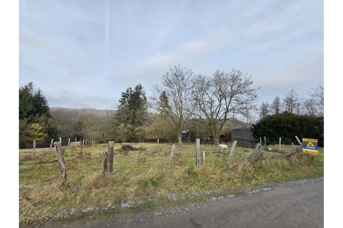 Terrain à vendre à Durbuy 6940 69000.00€  chambres m² - annonce 688339
