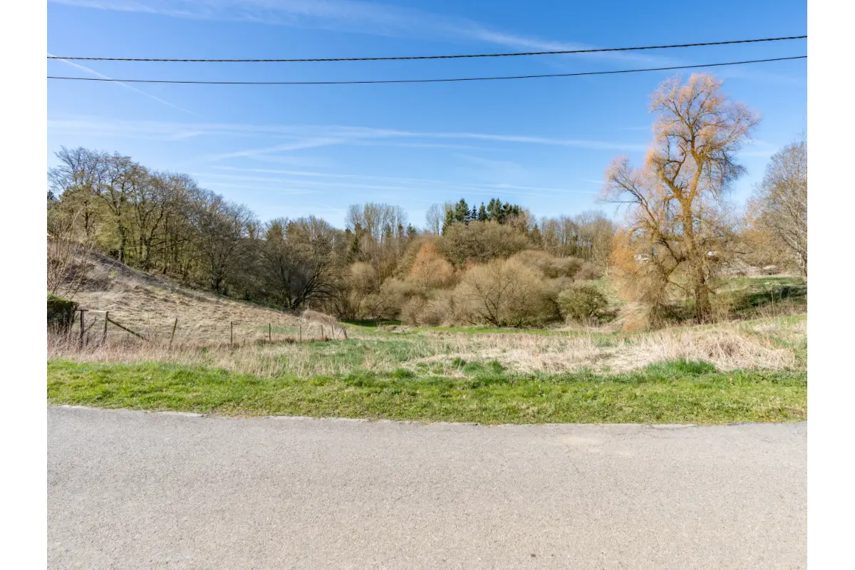 Terrain à vendre à Fauvillers 6637 78000.00€  chambres m² - annonce 690141