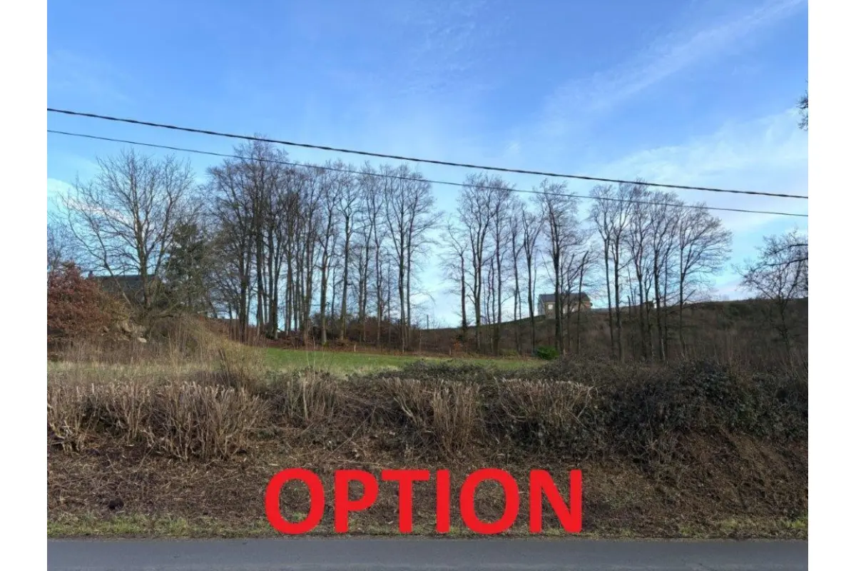 Terrain à vendre à Arlon 6700 170000.00€  chambres m² - annonce 694234