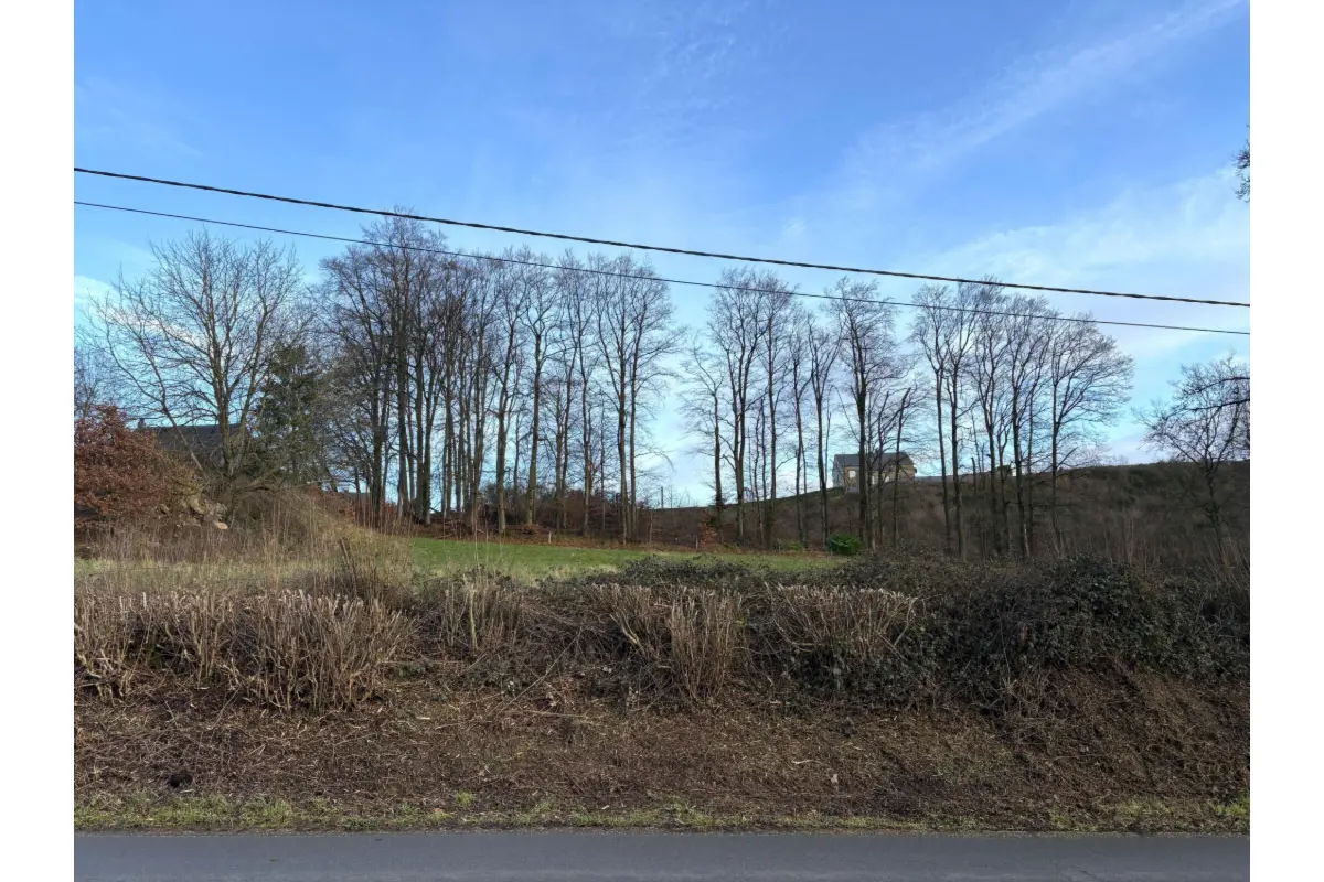 Terrain à vendre à Arlon 6700 170000.00€  chambres m² - annonce 694234