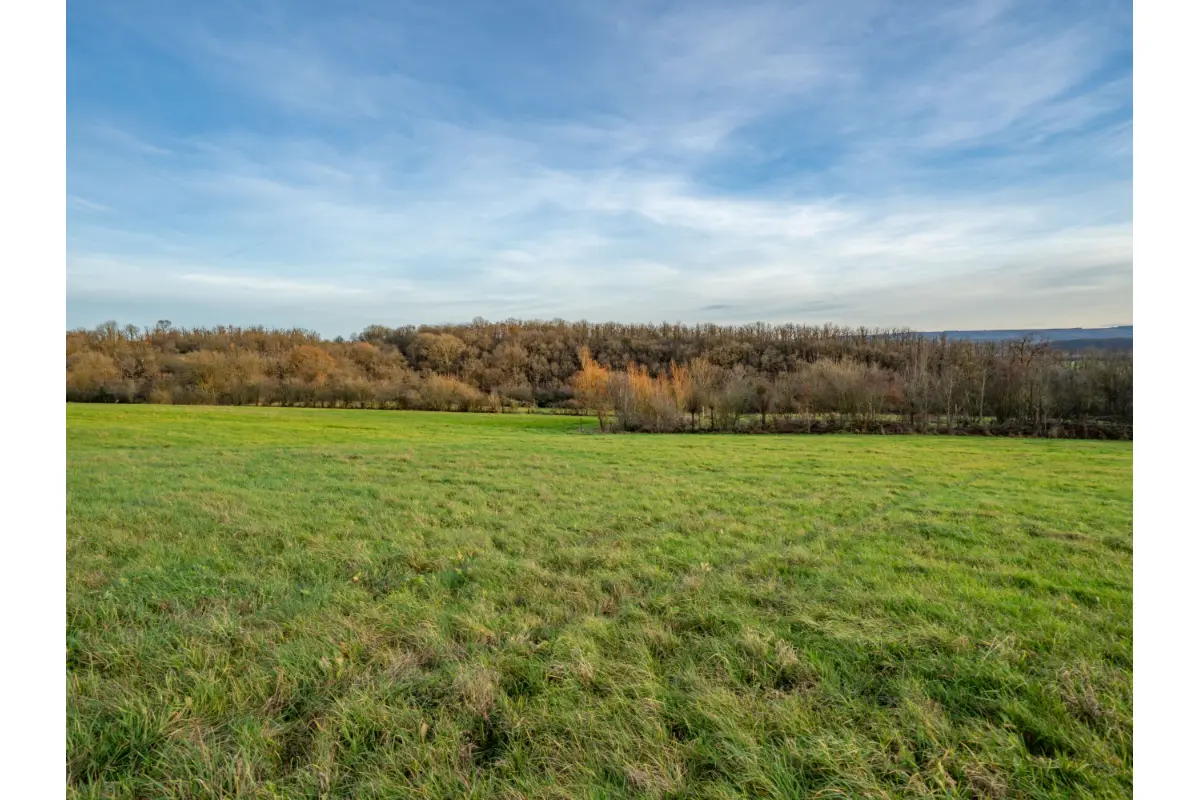 Terrain à vendre à Durbuy 6940 110000.00€  chambres m² - annonce 695415