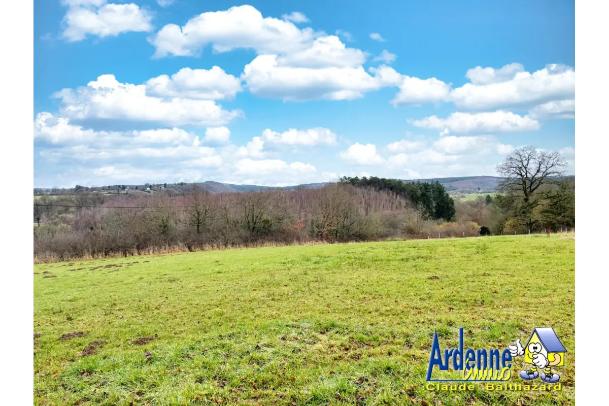 Terrain à vendre à Erezée 6997 120000.00€  chambres m² - annonce 698165