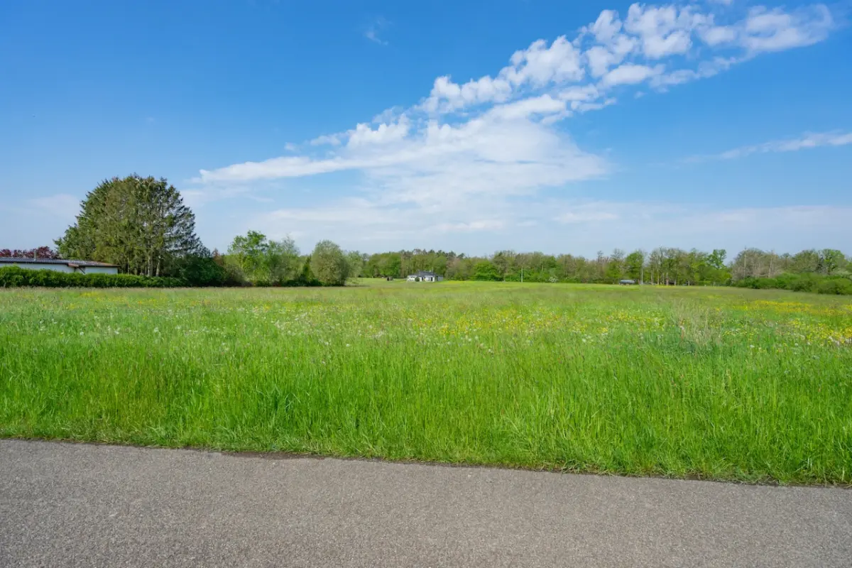 Terrain à bâtir à vendre à Erezée 6997 75000.00€  chambres m² - annonce 703698