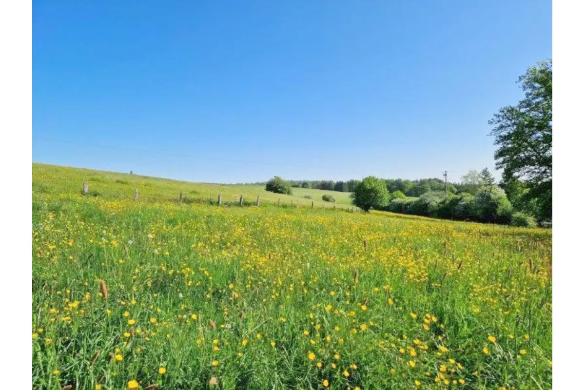 Terrain à vendre à Les Hayons 6830 175000.00€  chambres m² - annonce 706411