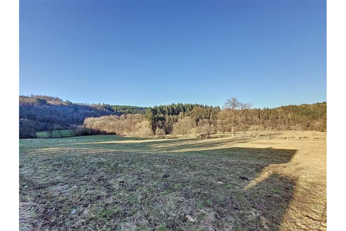 Terrain à vendre à Martelange 6630 132000.00€  chambres m² - annonce 706262
