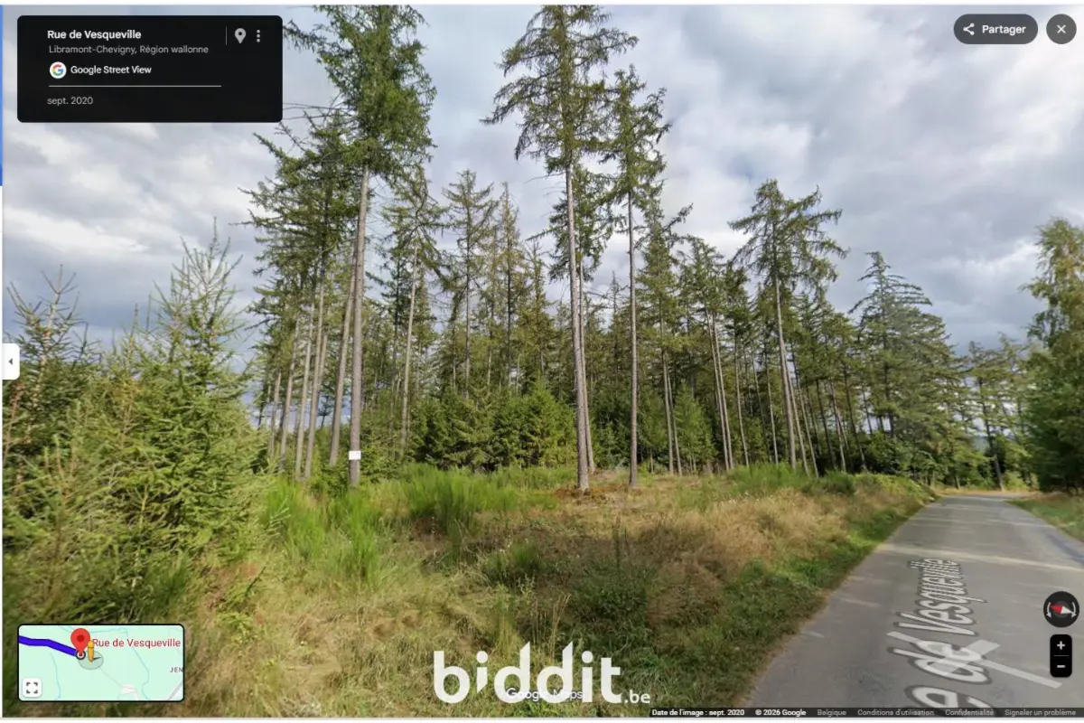 Terrain à vendre à Moircy 6800 470000.00€  chambres m² - annonce 707507