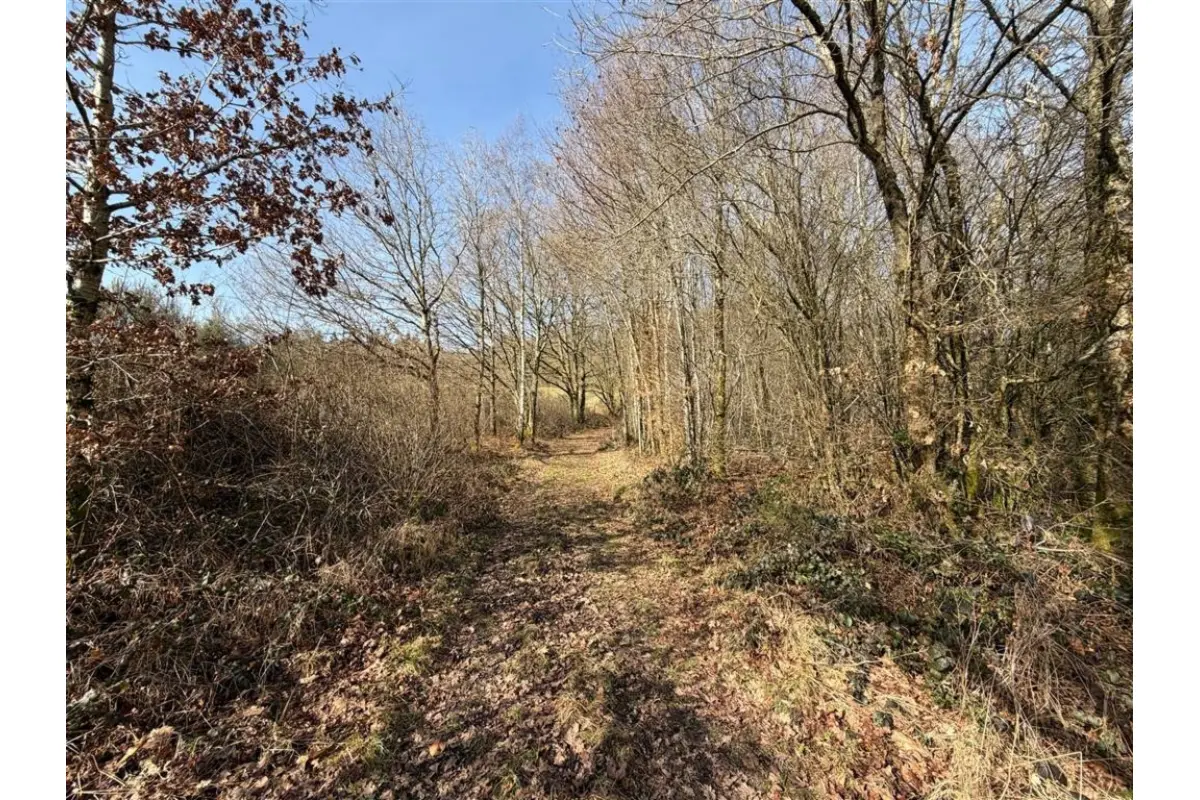 Terrain à vendre à Daverdisse 6929 135000.00€  chambres m² - annonce 707754