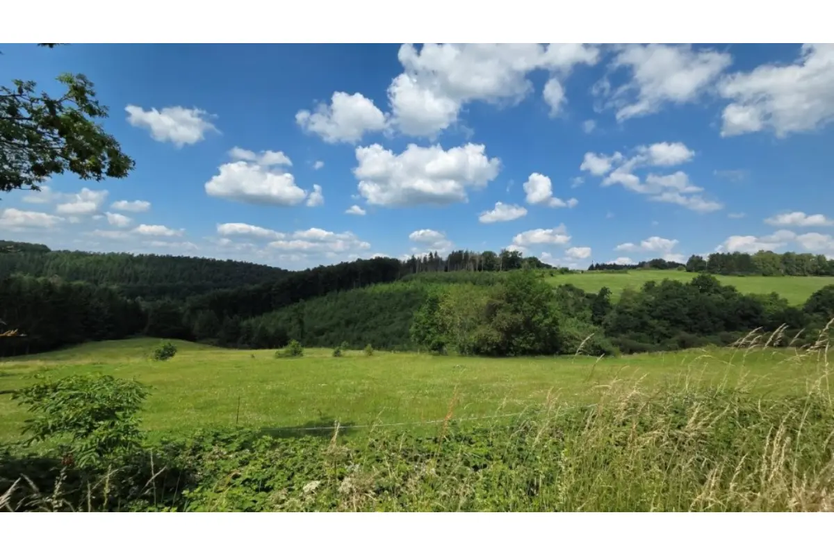 Terrain à bâtir à vendre à Erezée 6997 62500.00€  chambres m² - annonce 713192