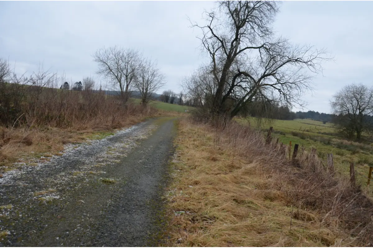 Terrain à vendre à Samrée 6982 50000.00€  chambres m² - annonce 714358