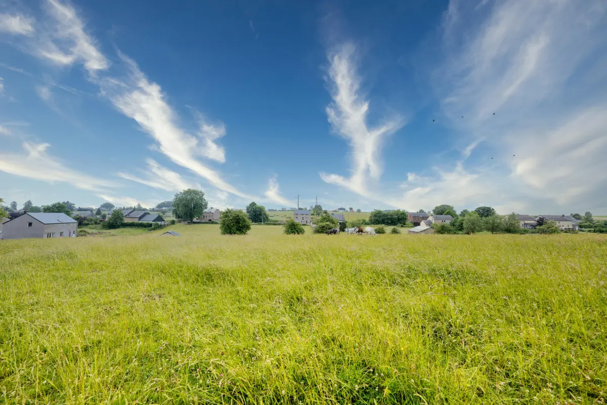 Terrain à vendre à Libramont-Chevigny 6800 99000.00€  chambres m² - annonce 715120