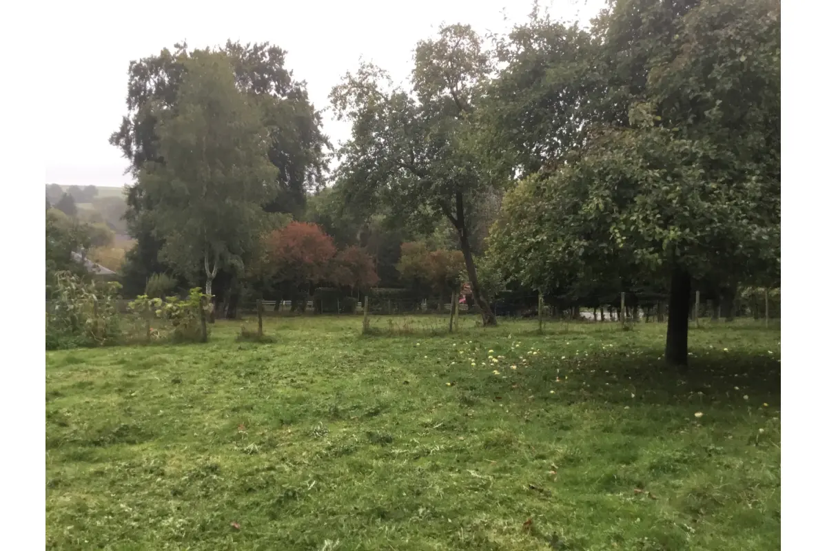 Terrain à vendre à Longlier 6840 141288.00€  chambres m² - annonce 718297