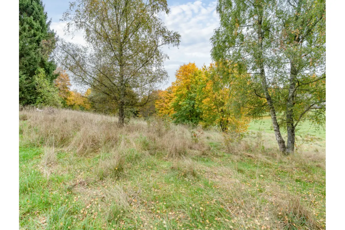 Terrain à vendre à Maissin 6852 85000.00€  chambres m² - annonce 721875