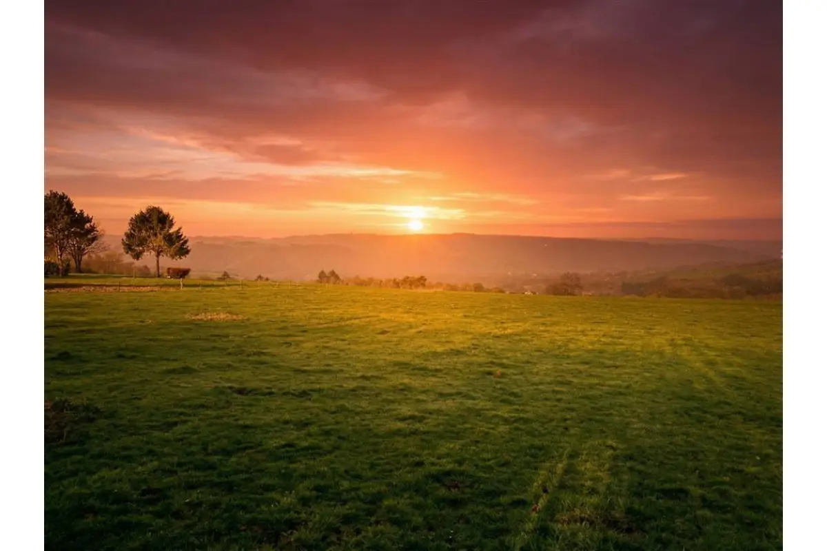 Terrain à bâtir à vendre à La Roche-en-Ardenne 6980 115000.00€  chambres m² - annonce 730112