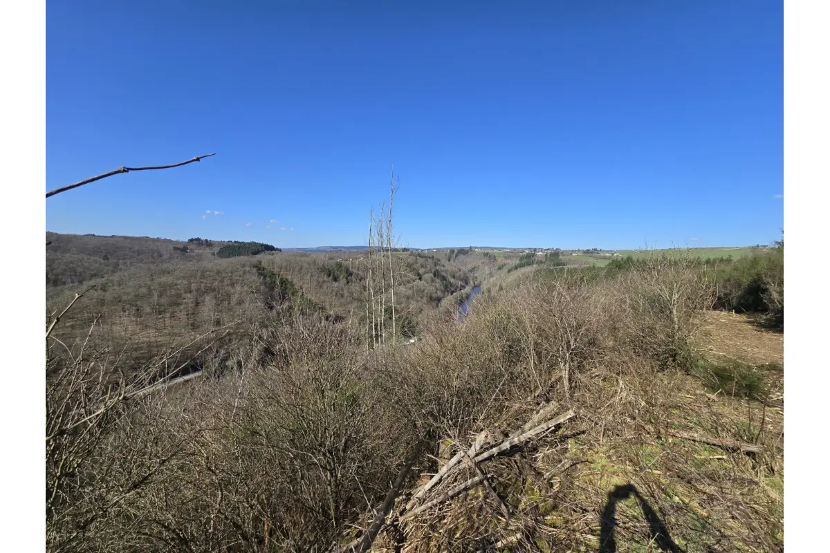 Terrain à vendre à Houffalize 6660 6200.00€  chambres m² - annonce 731330