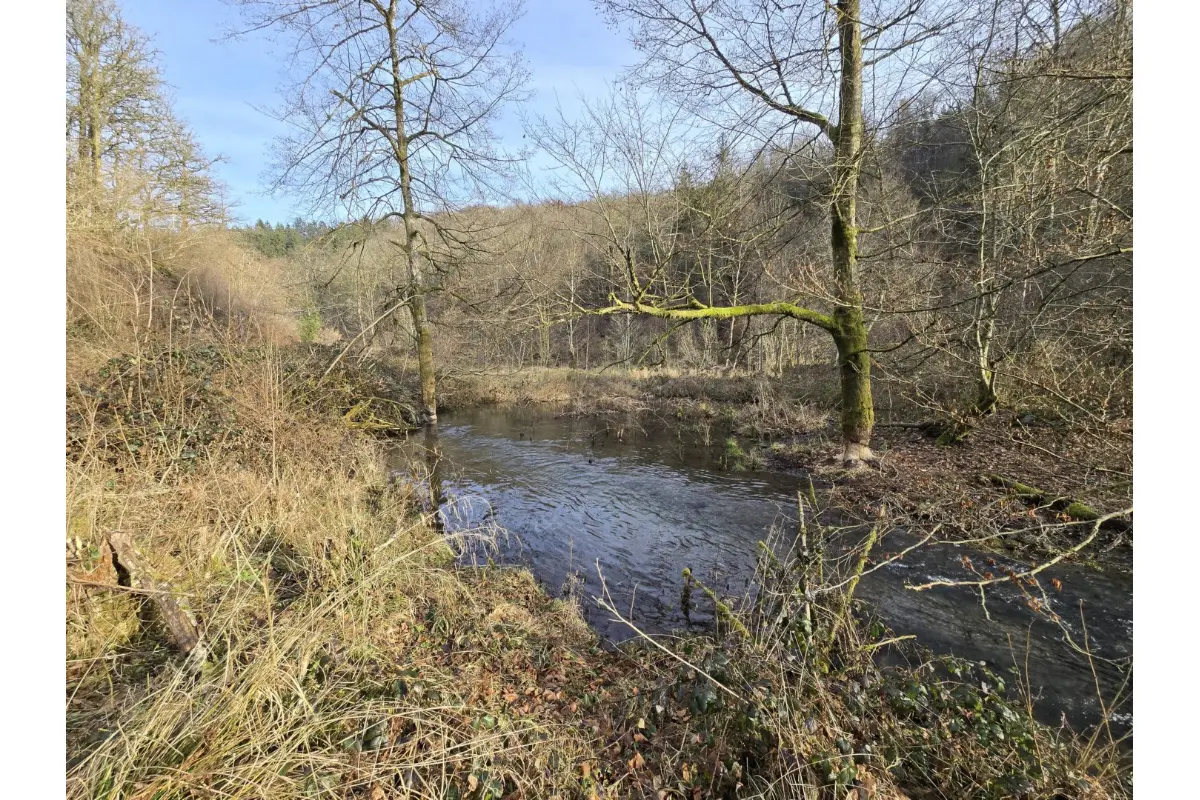 Terrain non bâtissable à vendre à Bouillon 6830 11500.00€  chambres m² - annonce 731332