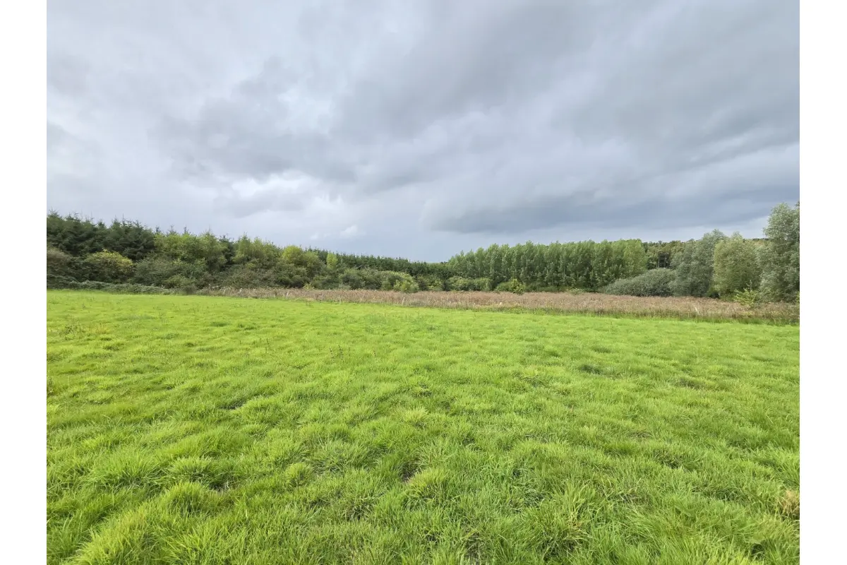 Terrain à vendre à Bertogne 6687 29500.00€  chambres m² - annonce 731331