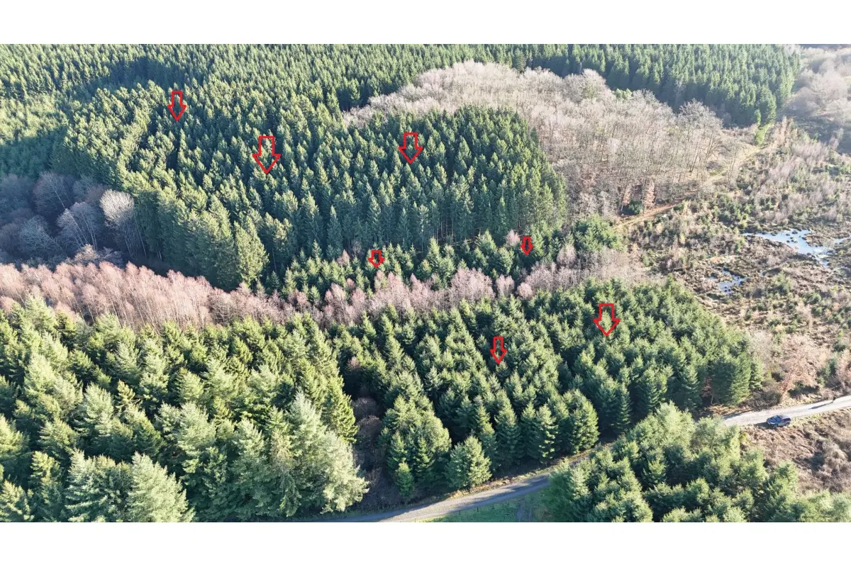 Terrain à vendre à Bertogne 6687 42500.00€  chambres m² - annonce 731314