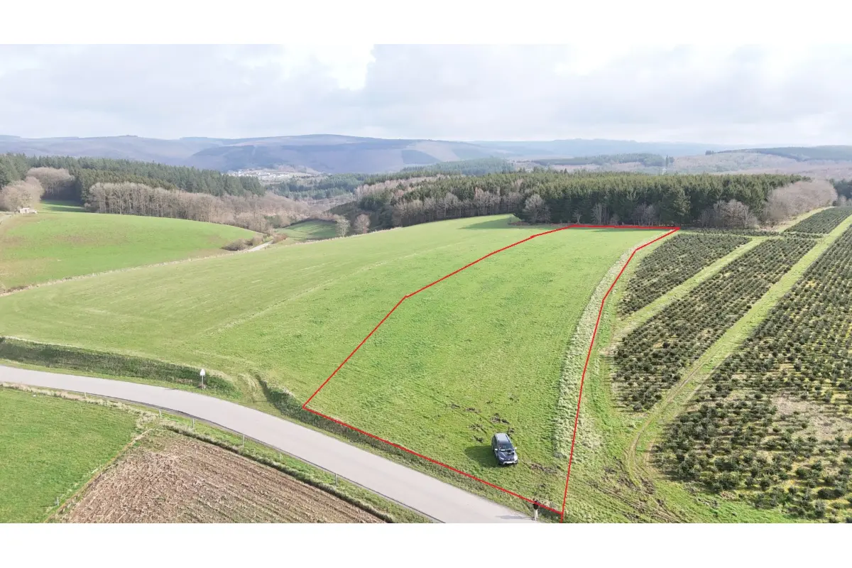 Terrain non bâtissable à vendre à La Roche-en-Ardenne 6980 26500.00€  chambres m² - annonce 731317