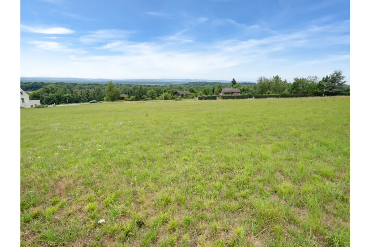 Terrain à vendre à Durbuy 6940 145000.00€  chambres m² - annonce 731497