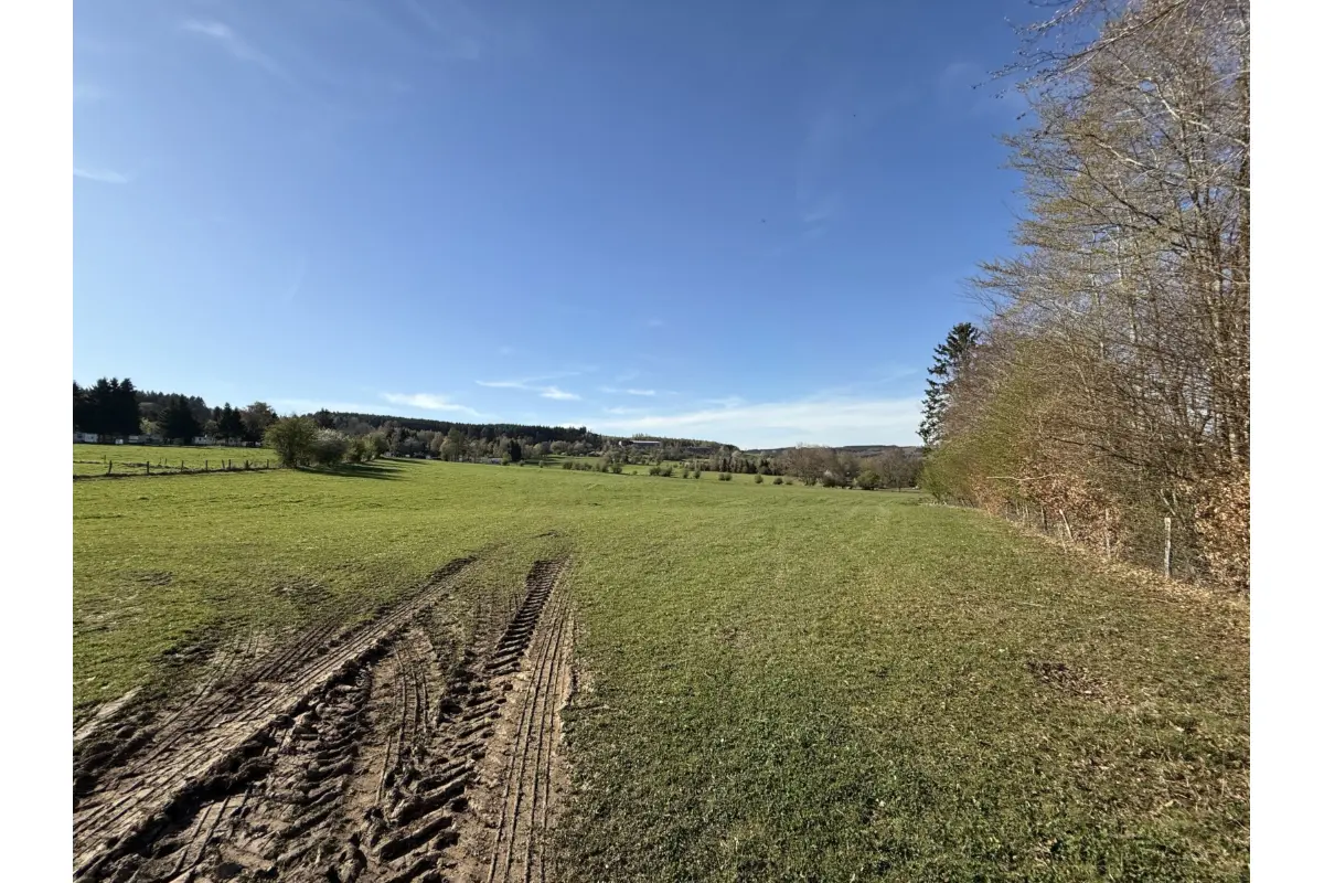 Terrain à vendre à Manhay 6960 95000.00€  chambres m² - annonce 735685